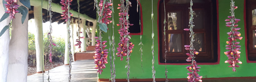 accommodation-in-odisha