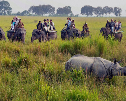 assam-tour-packages