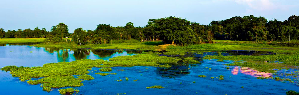 majuli-island-assam