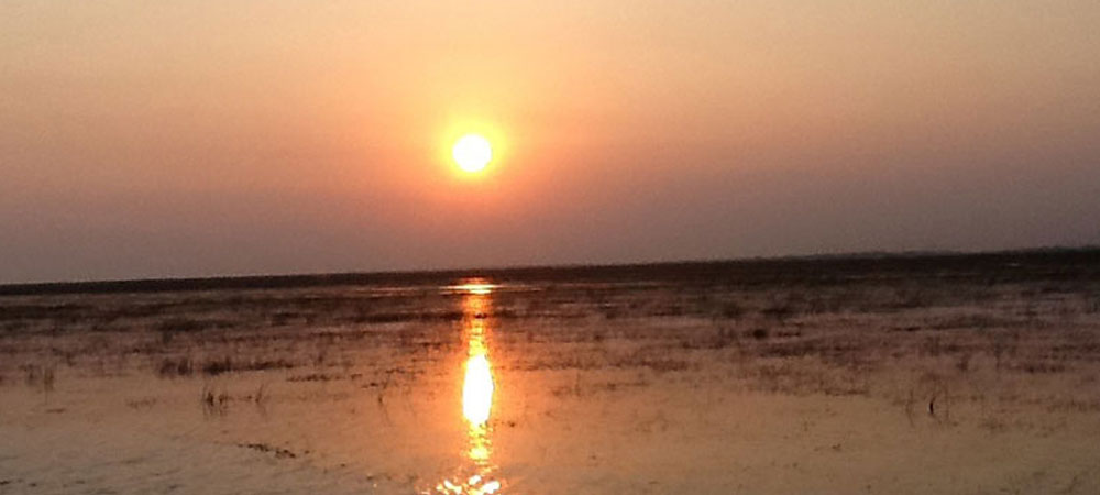 chilika-lake-tour