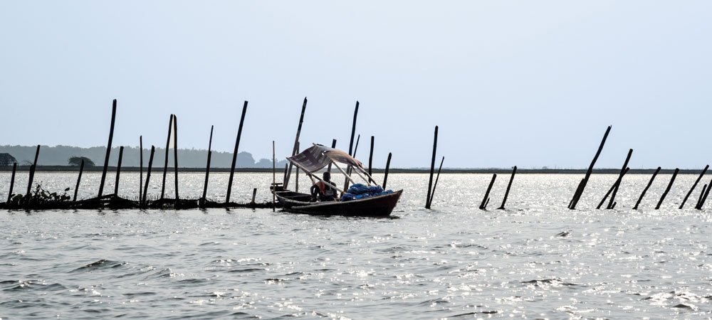 nature-tour-Satapada