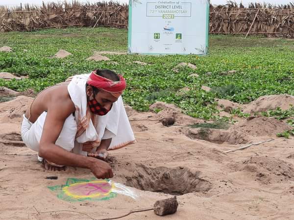 We are proud to start a campaign to plant 500 trees
