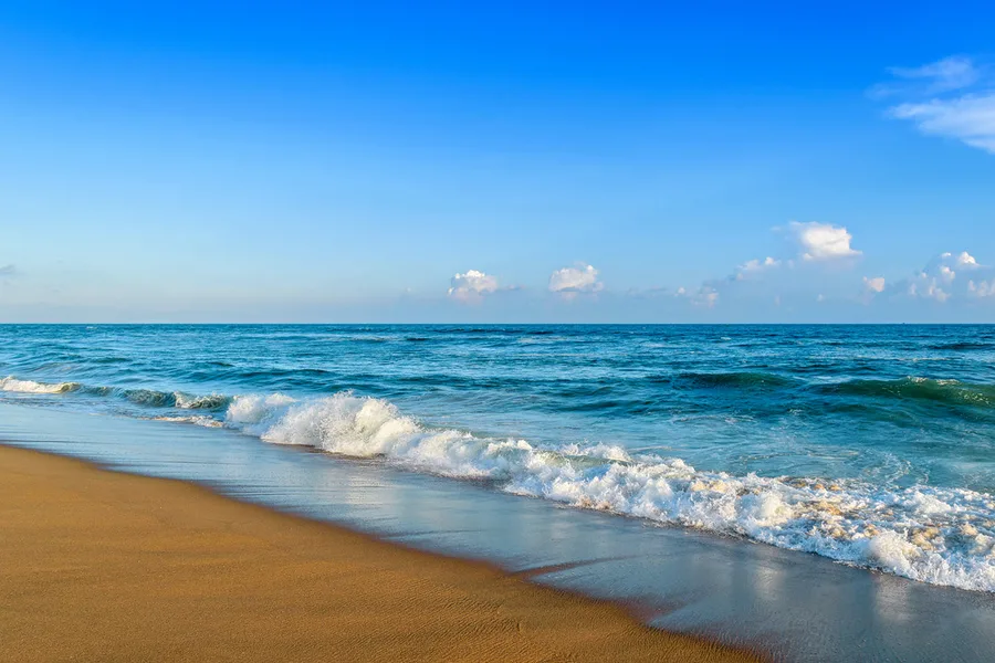 Beach Life in Odisha