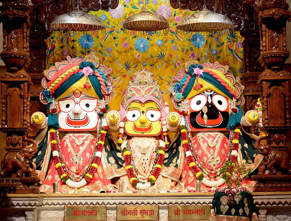 Jagannath Darsahn Tour Odisha