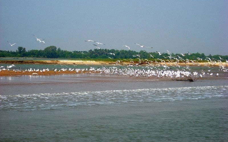 if-you-are-planning-a-trip-to-puri-book-puri-tourism-package-today-and-visit-to-the-famous-jagannath-temple