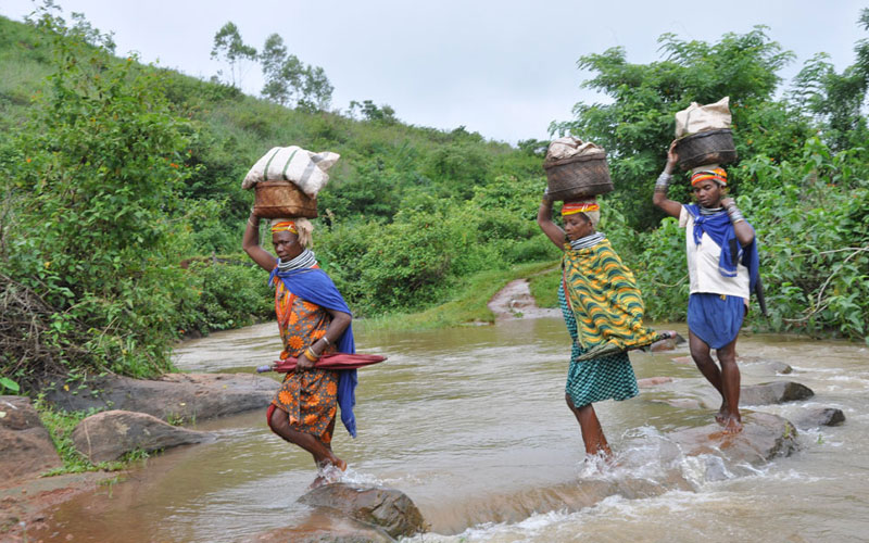 tribal-tours-in-odisha-offer-an-opportunity-to-venture-into-the-lesser-known-corners-of-this-incredible-state-and-witness-the-lives-of-its-diverse-tribal-communities