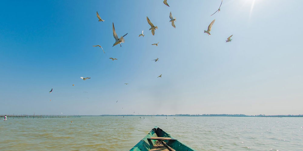 Discover the Soul of Odisha: A Perfect 3-Day Puri Tour Itinerary