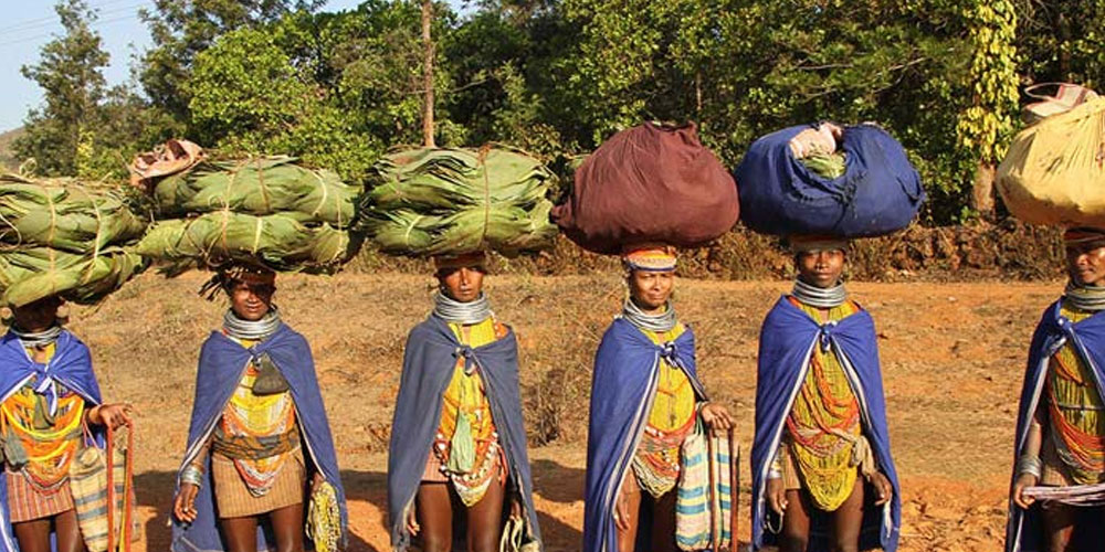 Unveiling the Real Cost of Odisha Tribal Tour Packages: A Guide to Authentic Cultural Travel