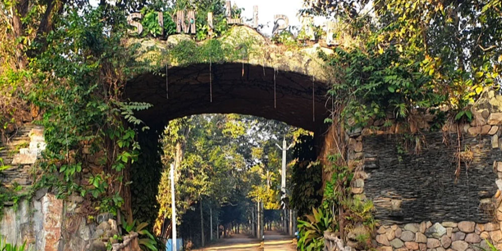 Book Odisha Tour Packages Online for a Hassle-Free and Memorable Travel Experience