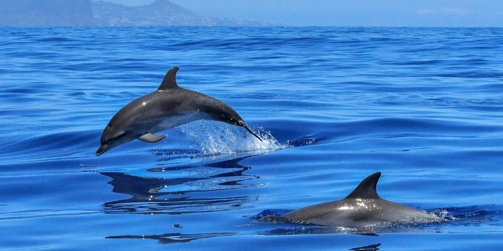 Unforgettable-Tour-Packages-in-Odisha-Your-Gateway-to-a-Cultural-Odyssey