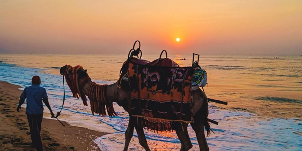 Discover-the-Best-of-Odisha-Your-Complete-Guide-to-Customizable-Tour-Packages