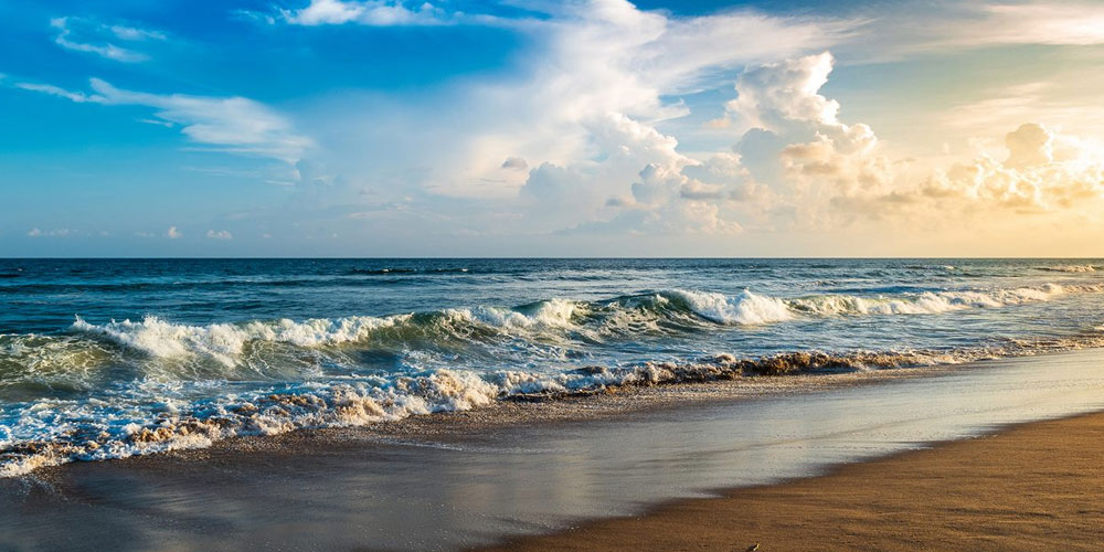 Discover-Odishas-Untold-Wonders-Affordable-Tourism-Packages-for-Beach-Bliss-Temple-Trails-and-Wildlife-Escapes-in-2025
