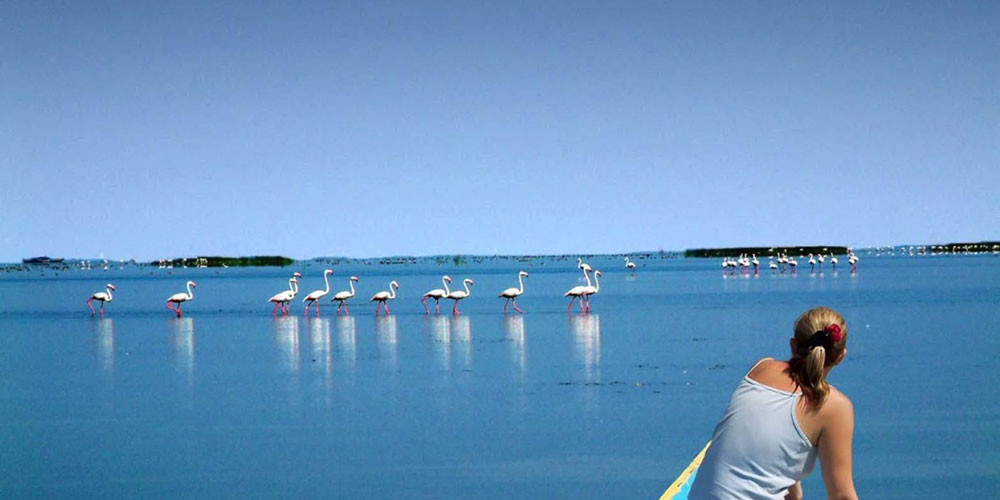 Explore-the-Hidden-Beauty-of-Odisha-with-the-Best-Travel-Agency-for-Personalized-Tours